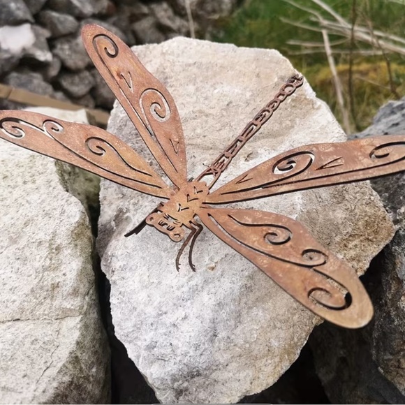 Other - Dragonfly